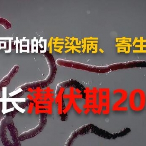 �м��أ����ڲ���ǰ�����x�Ⱦ���ć��һ�؅^����