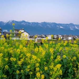 3���e��������7��Ŀ�ĵ������پ��������s�г�������